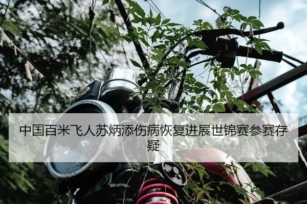 中国百米飞人苏炳添伤病恢复进展世锦赛参赛存疑